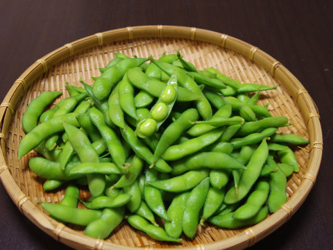 【朝どれ】手が止まらなくなる枝豆！
極甘で濃厚な旨みの湯あがり娘【枝なし２８０g×３袋】