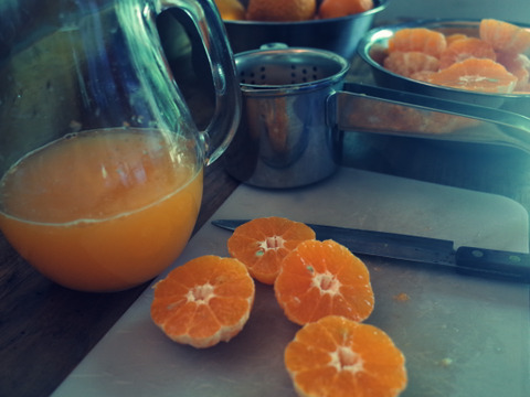 農薬不使用・果汁たっぷりで味が濃い　屋久島ポンカン（ご家庭用・約10kg）