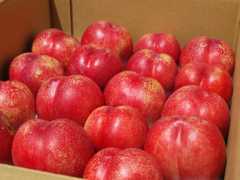 【お中元】【夏ギフト】信州産サマークリスタル　4kg（18～25玉）