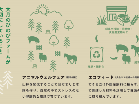 大月市で肥育【自慢の馬刺し】モモ300g（ブロック×2～4個）