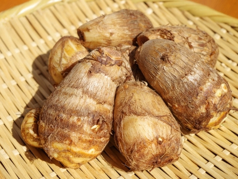 えぐみが少なくねっとりな【肥料・農薬不使用栽培】の里芋(2kg)