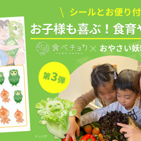 野菜嫌いのお子様に!食育やさいBOX販売!