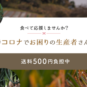 おいしい野菜や肉を食べて、困っている生産者さんを応援しませんか？【送料500円を負担中】