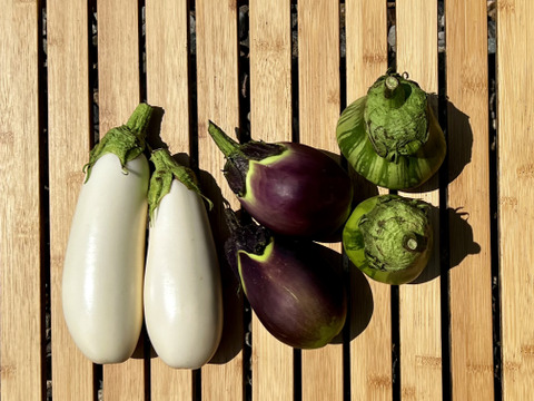 うま味ぎっしり。ナスいろいろセット 1kg