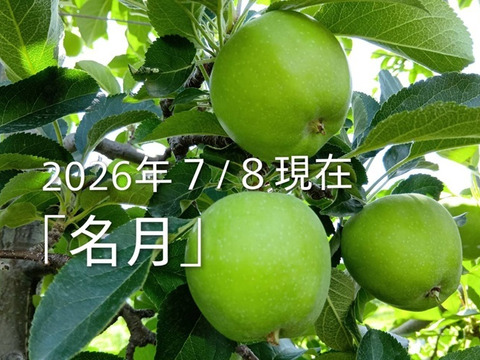 先行予約】「名月約15kg入りたっぷりサイズ」生産者が大好きなりんご