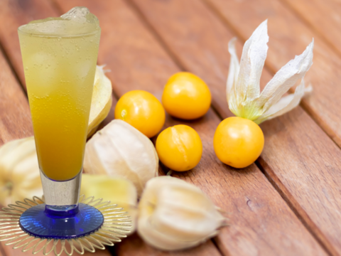 新商品✨陽光の輝き　自然派リキュール🍹ゴールデンベリーリキュール「AUREA TROPICA」720ml×１本入り