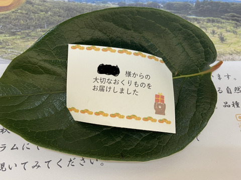 しっとり！甘い！早秋柿　5キロ