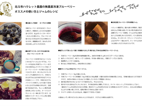 【北海道産】冷凍ブルーベリー（古参品種パトリオット）　1kg　※まとめ買い対応