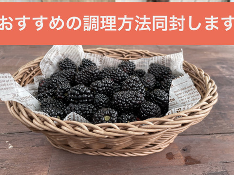 【農薬不使用】冷凍ブラックベリー（1kg）