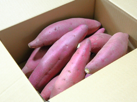 鳥取大山の麓 甘い芋 紅はるか 強めのホクホク食感 大小詰合せセット 内容量3.0kg 女性のパワーで大地を彩る