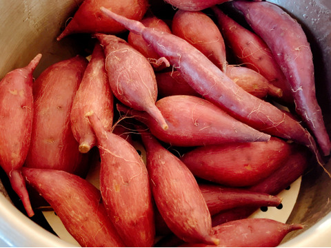 ちびちびサイズでもホックリサラリ‼︎「ゆきこまち」 2キロ箱