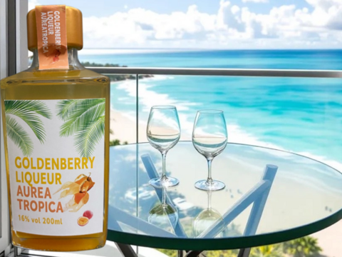 新商品✨陽光の輝き　自然派リキュール🍹ゴールデンベリーリキュール「AUREA TROPICA」200ml×４本入り