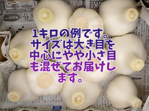 フレッシュな『生にんにく』1kg（8~14個）この時期だけの味覚！