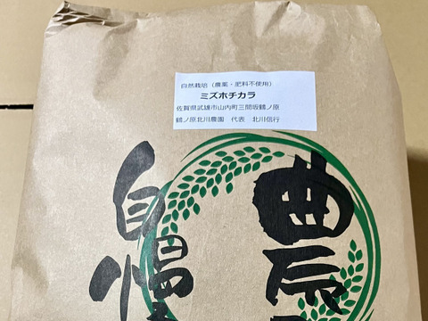 【Mon様専用】【令和7年新米】自然栽培「伊勢ヒカリ」玄米１０ｋｇ　　真空パック ＋ ミズホチカラ玄米５ｋｇ