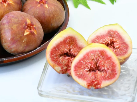 朝ちぎりいちじく　蓬莱　露路栽培　福岡県産　約300g×8パック　新田原産いちじく　約2.4キロ