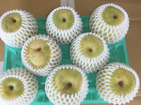 かおり 3kg 4Lサイズ(8玉入)