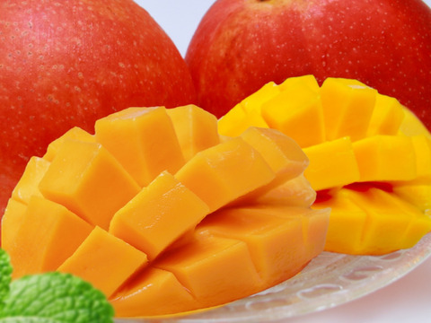 沖縄の恵みで心も満たす！ご褒美マンゴー【特選】（2㎏・4～6玉）