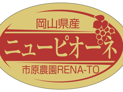 岡山県産　【クール便】ピオーネ2kgご家庭用（3房〜4房）