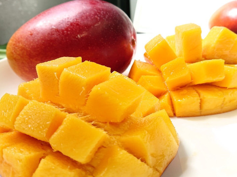 とろける至福の完熟マンゴー1kg(2〜3個)「沖縄西表島産」