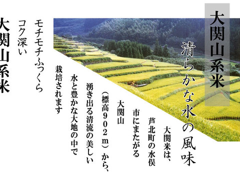 令和7年産米 新米【予約販売11月上旬より精米後順次発送】 米