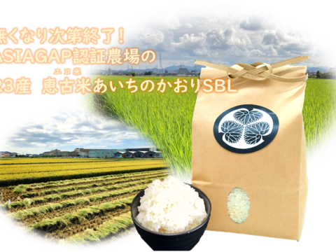 無くなり次第終了！　R3産エコ米100％あいちのかおり　5㎏