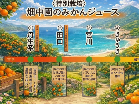 【濃厚糖度13度】飲み比べ2本セット 【田口】【宮川】【きゅうき】【丹生系】特別栽培で育てたからだにやさしい有田みかんジュース100％