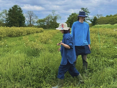 【道産自然栽培】冷凍ブルーベリー•6kg（古参品種ミックス）※まとめ買い対応