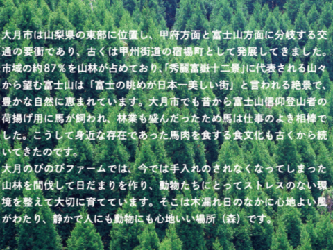 大月市で肥育【馬肉の切り落とし】1Kg