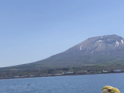 北海道産　漁師の店　ズワイガニ
