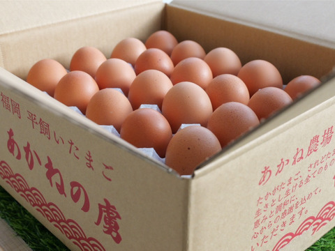 🎁【冬ギフト】🎁 冬のご挨拶に⛄️【あかねの虜】Lサイズ（40個入り） 28歳2児の母がプロデュースした話題の卵【お歳暮・お年賀など熨斗対応可能👌】※ご希望の場合は特記事項へご記入ください