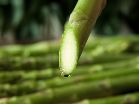 【森のアスパラ】ジューシーな佐賀県産！調理しやすいM~Lサイズ・600g