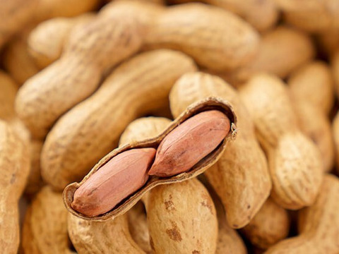 【令和7年産新物始まりました！】【合計１㎏越え】千葉県産落花生『Qなっつ』270g×4P 【冬ギフト】