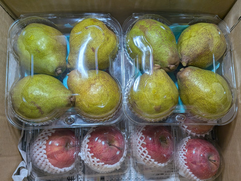 柿、洋ナシ、リンゴの箱詰め