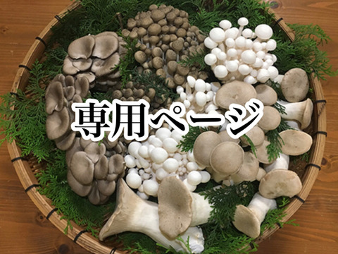 きのこのおしり1セット(6袋)とB品ひらたけ1.2kg