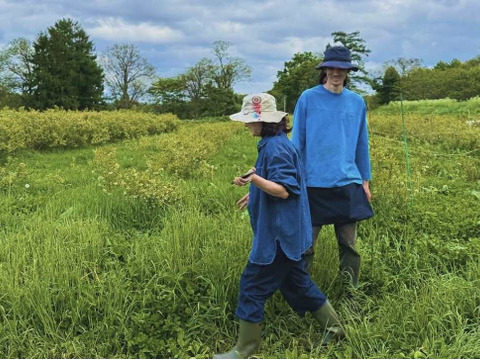 【自然栽培】道産サラダリーフ・600g （草の力だけで育てたこだわりの無肥料野菜）
