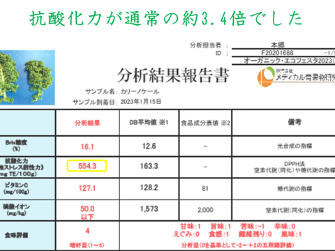 サラダ・スムージー用オーガニックケール【80gパック・30入り】