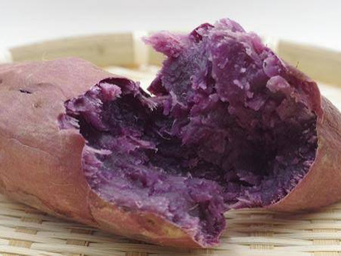 予約限定価格！ほくほく甘い【新芋】横浜産 自然栽培 綾紫10kg（S〜L混合）【9.10月配送】
