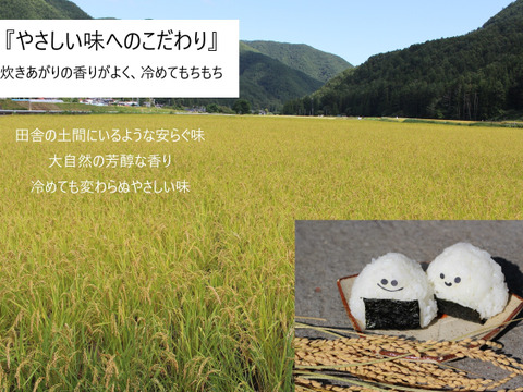 令和７年新米🍙自然栽培ミルキークイーン（玄米10㎏）“もちもちあまあま『小里米』”　農薬・肥料ともに不使用！