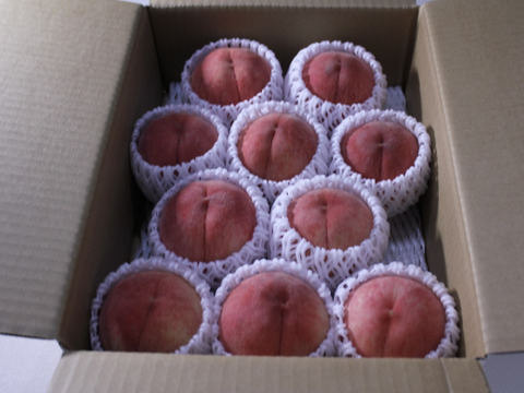 【長野県産・贈答用】“極上の夏桃” あかつき 3kg（7〜12玉入り）