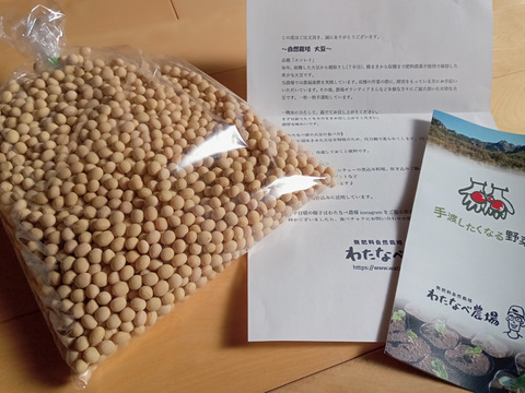 【希少♪自然栽培】大豆（1㎏）