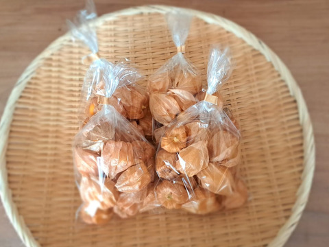 甘酸っぱくてまるでトロピカルフルーツ！「食用ほおずき」100g×8パック/栽培期間中農薬、化学肥料、除草剤不使用