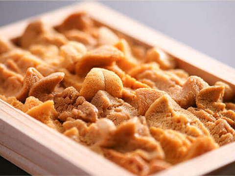 【入手困難】由良の赤ウニ/淡路島/本州ウニの最高峰/80g前後【生】【7/21解禁】【お中元】