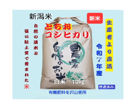 予約米・令和7年 新米】【第3弾】 【新潟・とちお産コシヒカリ