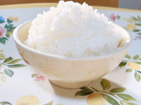 訳あり【令和7年新米】鳥取県　つむぎfarmのコシヒカリ 玄米　9kg