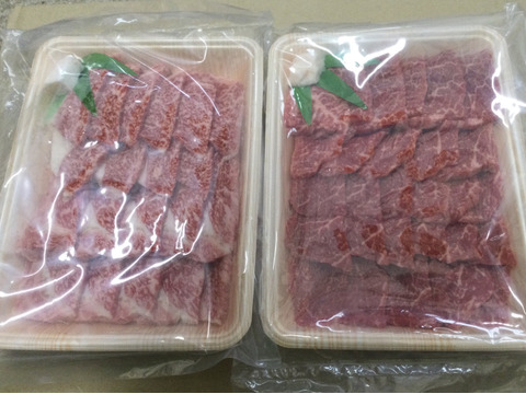 【数量限定】但馬うし 経産牛 てるこ号 焼肉用ロースとモモ肉 各500g 合計1kgセット(^^)