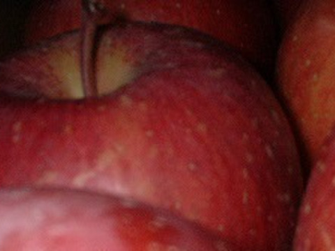 ふじ5キロ　食べ応えある　4Lサイズ　贈答用として、ご褒美として　13玉