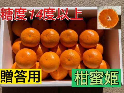 【冬ギフト】糖度14度以上の濃厚・絶品小玉ミカン『柑蜜姫』　2.5kg