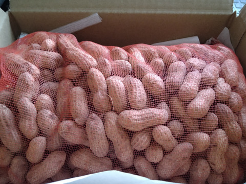炒って食べるから美味しい!　自然乾燥した生落花生1000g(令和６年産)　農薬不使用、除草剤不使用だから安心してお召し上がりいただけます。