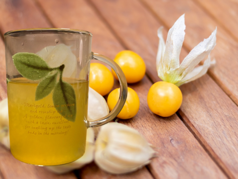 新商品✨陽光の輝き　自然派リキュール🍹ゴールデンベリーリキュール「AUREA TROPICA」720ml×２本入り