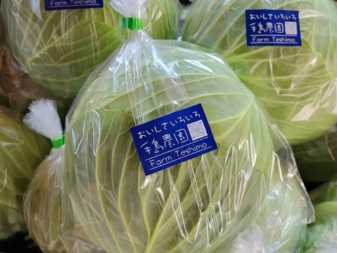 【旬の上州野菜】Mサイズ（6~7品目）梱包まで丁寧に